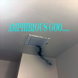 Ceiling vent